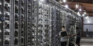 Mining farm setup with various models