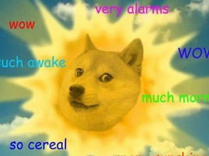 Dogecoin mining process